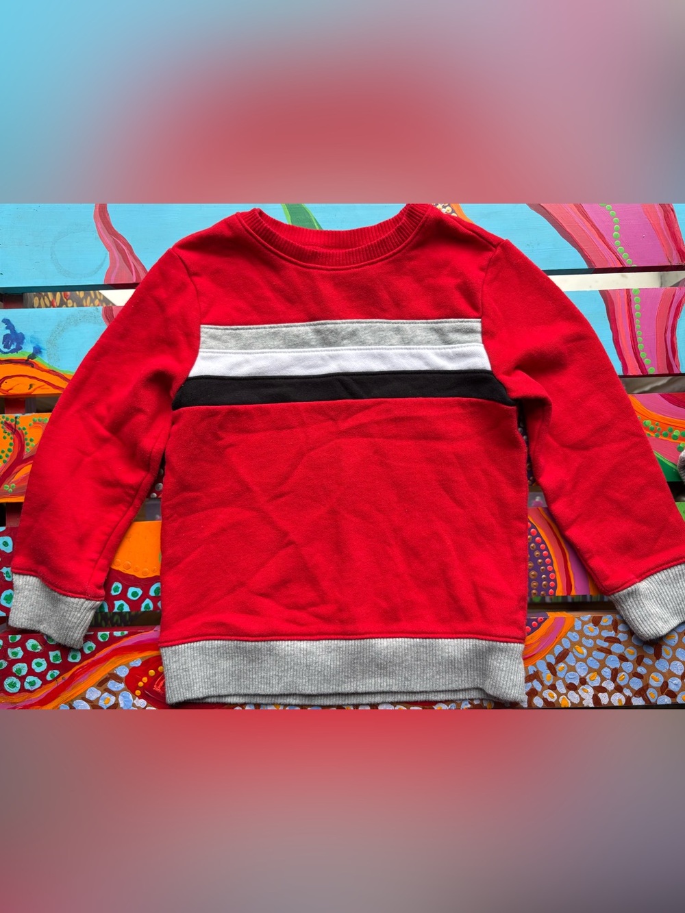 The Children's Place Crewneck Sweatshirt Size 4T